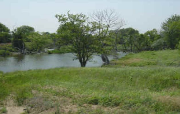 Picture of water with grassy area and trees