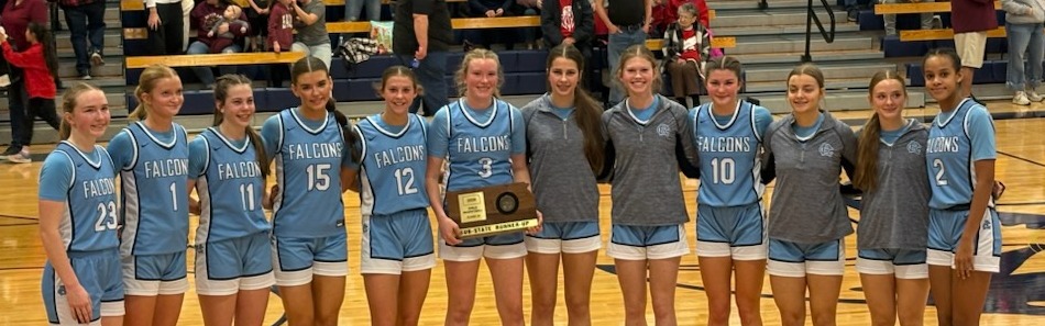 high school girls basketball