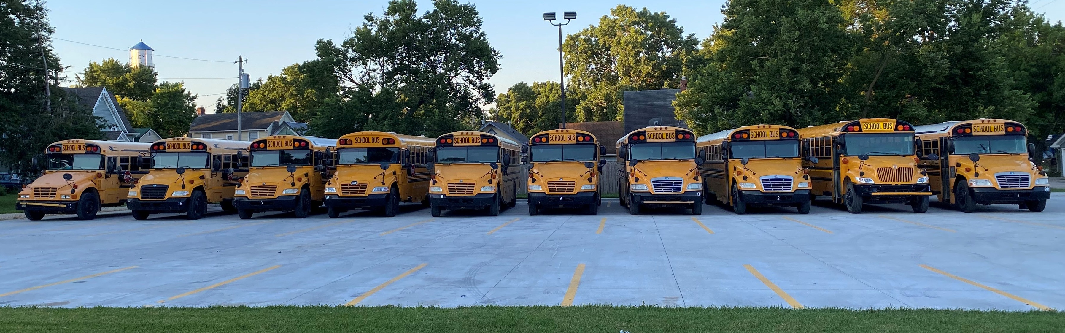 buses lined up