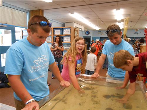 Students and Jacksonville University volunteers enjoying the Touch Tank in the Aquatic Lab!
