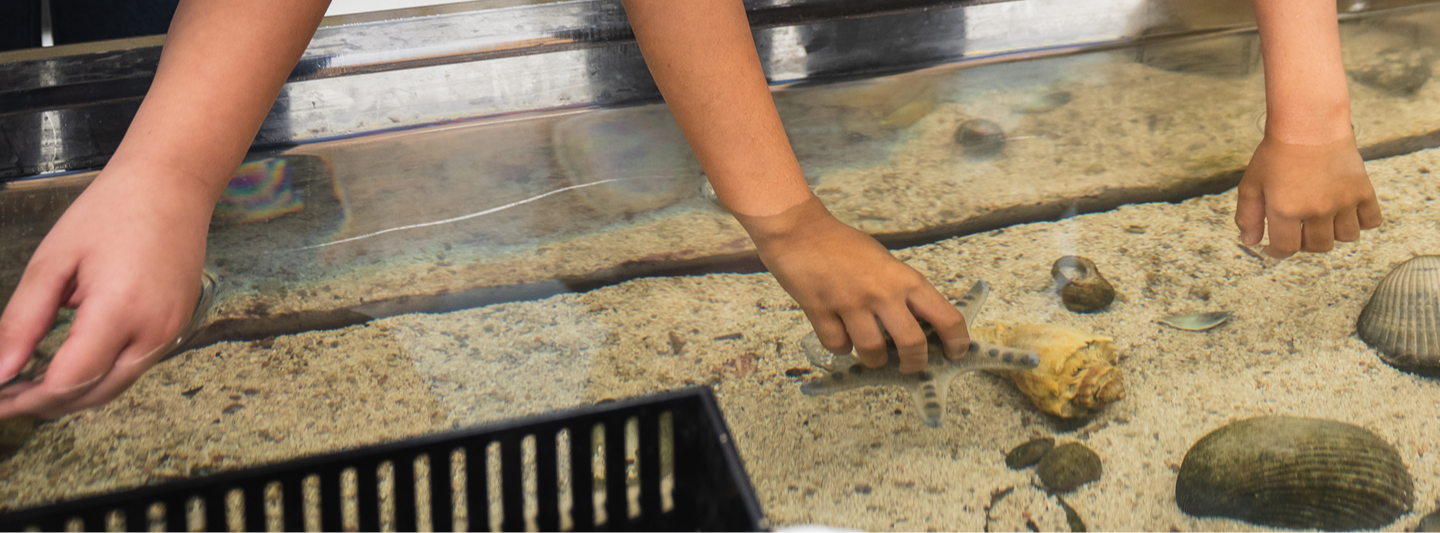 students playing with sand