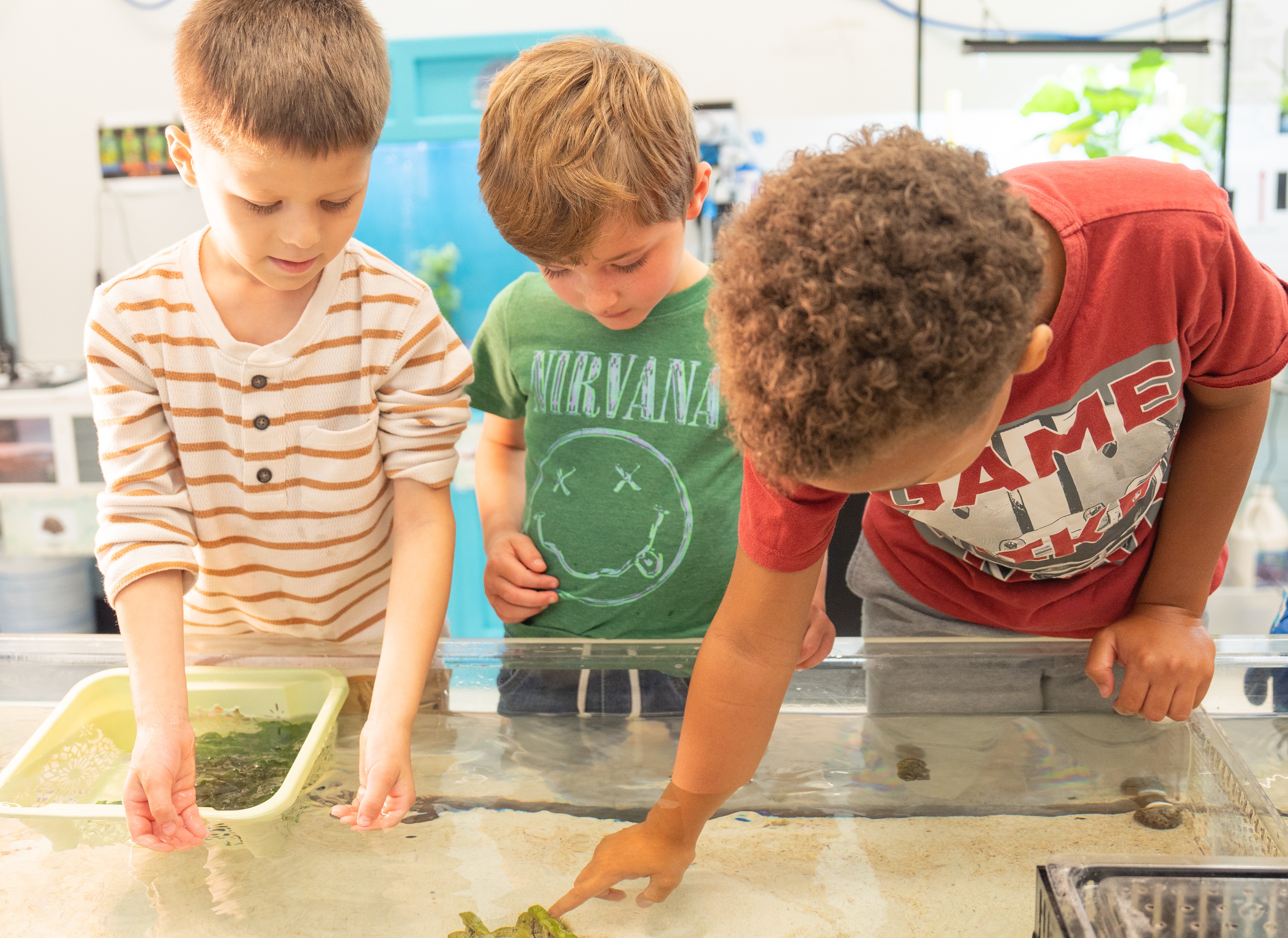 Three young boys examine plants in a glass container at an aquarium, with a bright background.