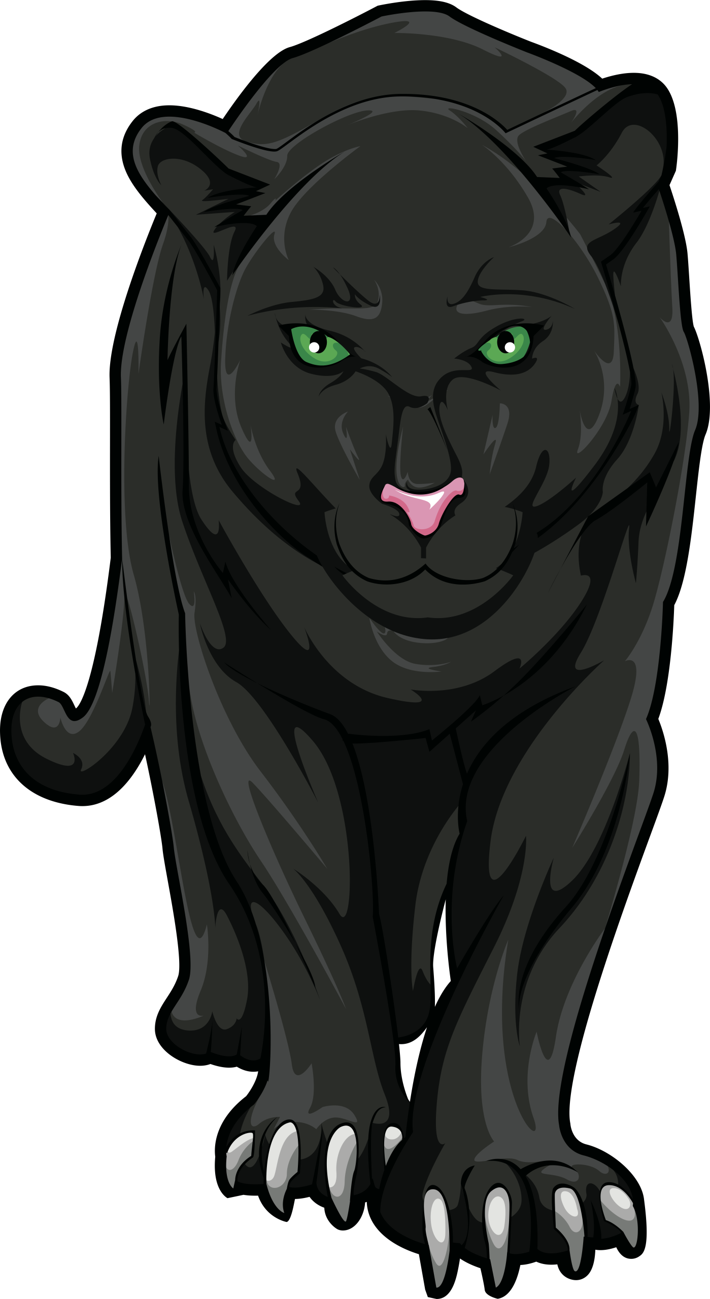 Panther