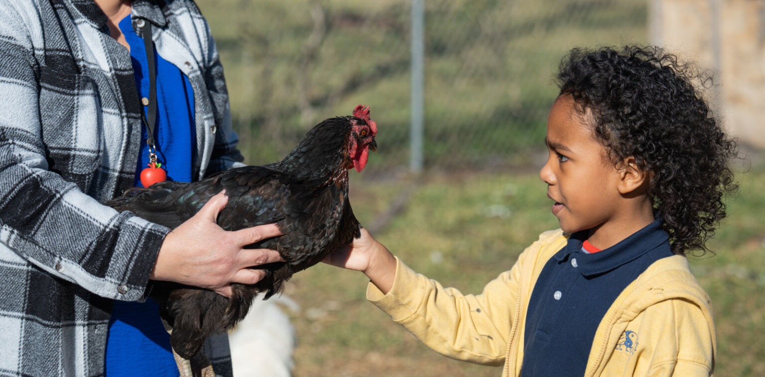 student with a chicken