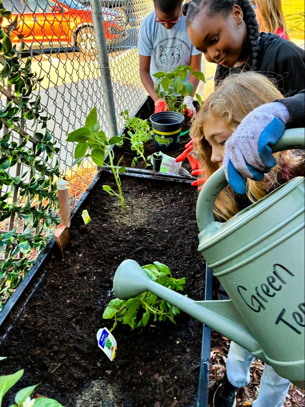 Two children in gloves watering a garden bed with soil and plants. One child holds a green watering can.