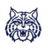 wildcat logo