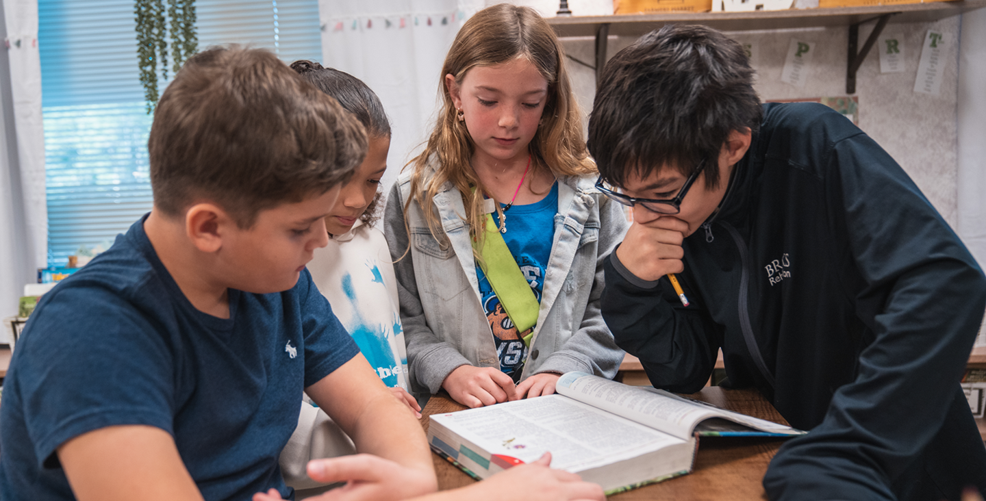 students reviewing textbook