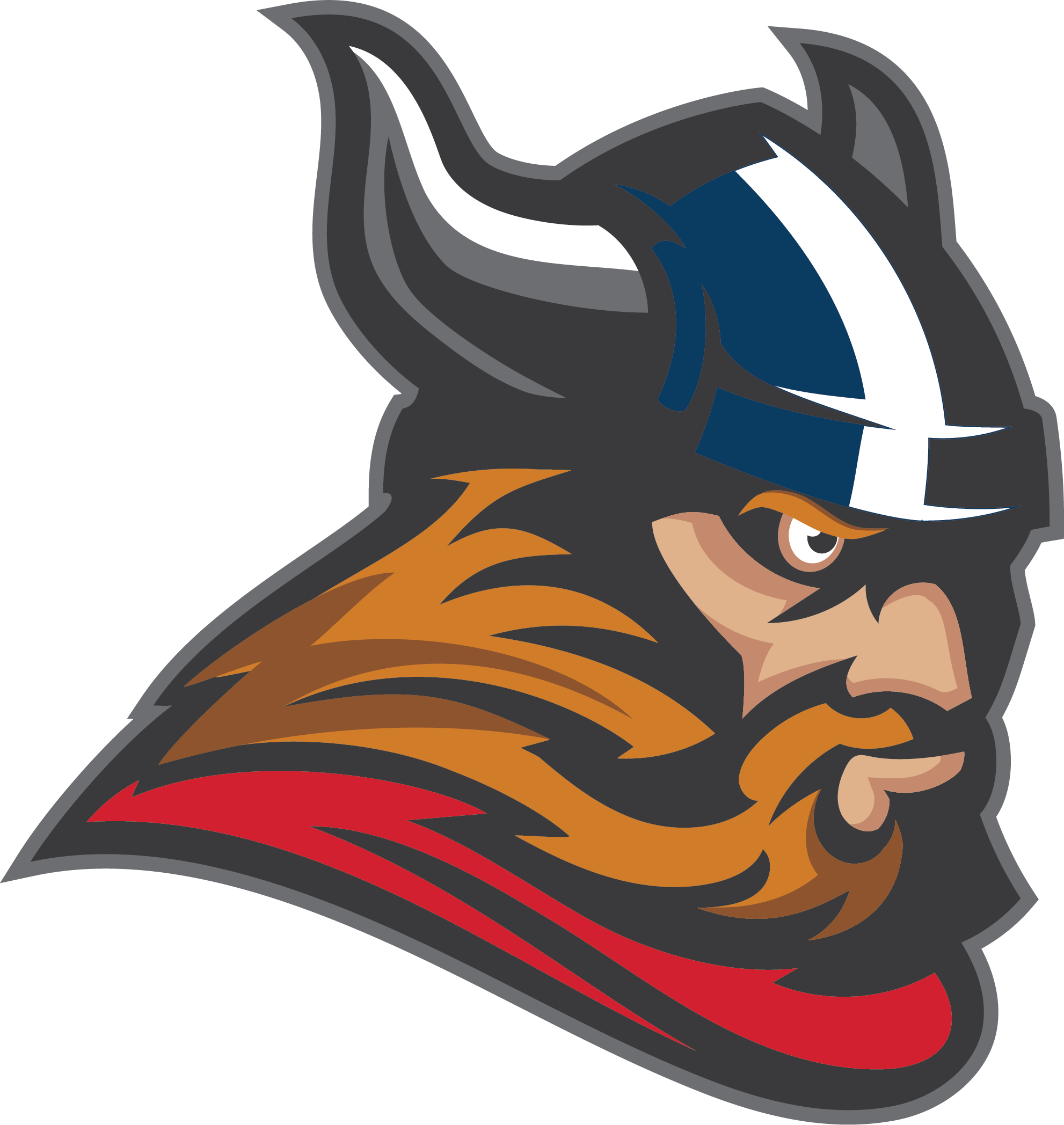 Viking head in profile.  School mascot.