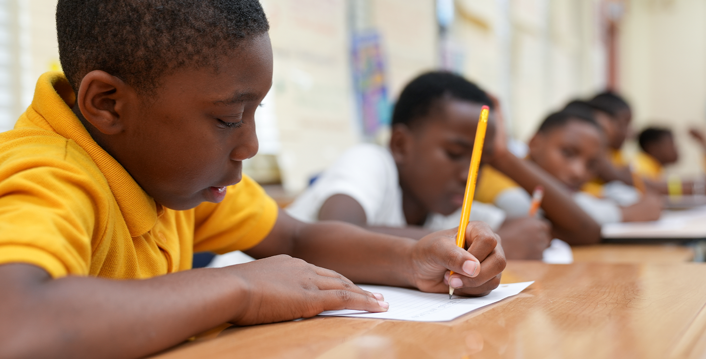 The Bridge to Success Academy. Elementary/Middle School