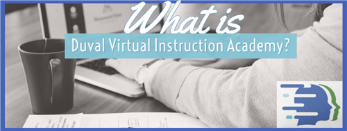 What is Duval virtual academy