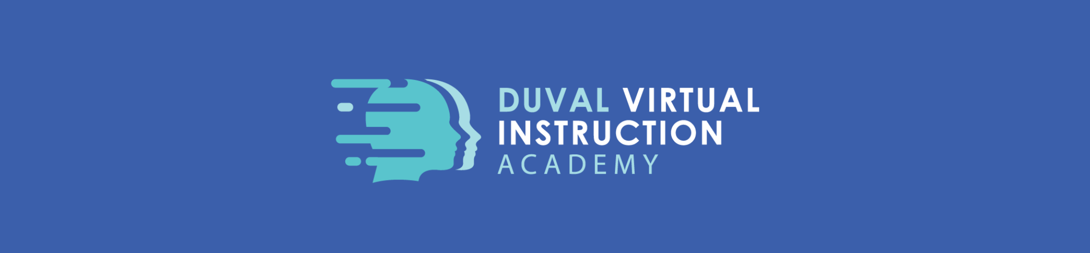 Blue background with "DUVAL VIRTUAL INSTRUCTION ACADEMY" written in white font and a green icon.