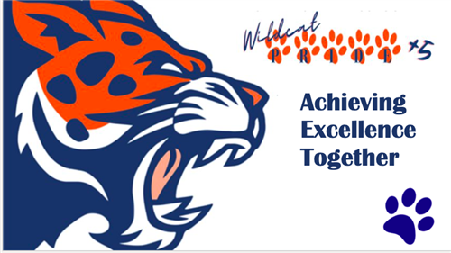 Achieving excellence together