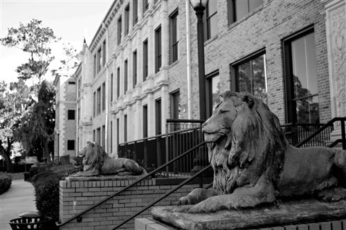 Landon Lions front Black White copy