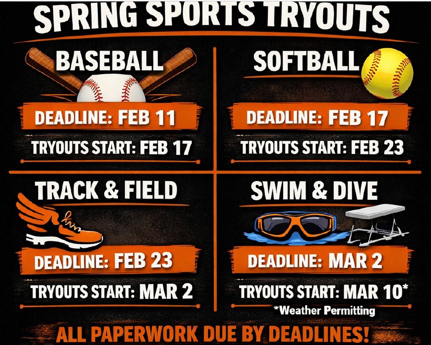Spring Sports Flyer
