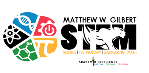 STEM logo