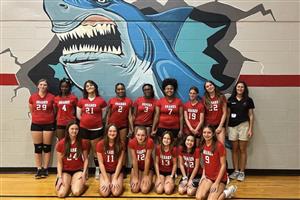 Volleyball