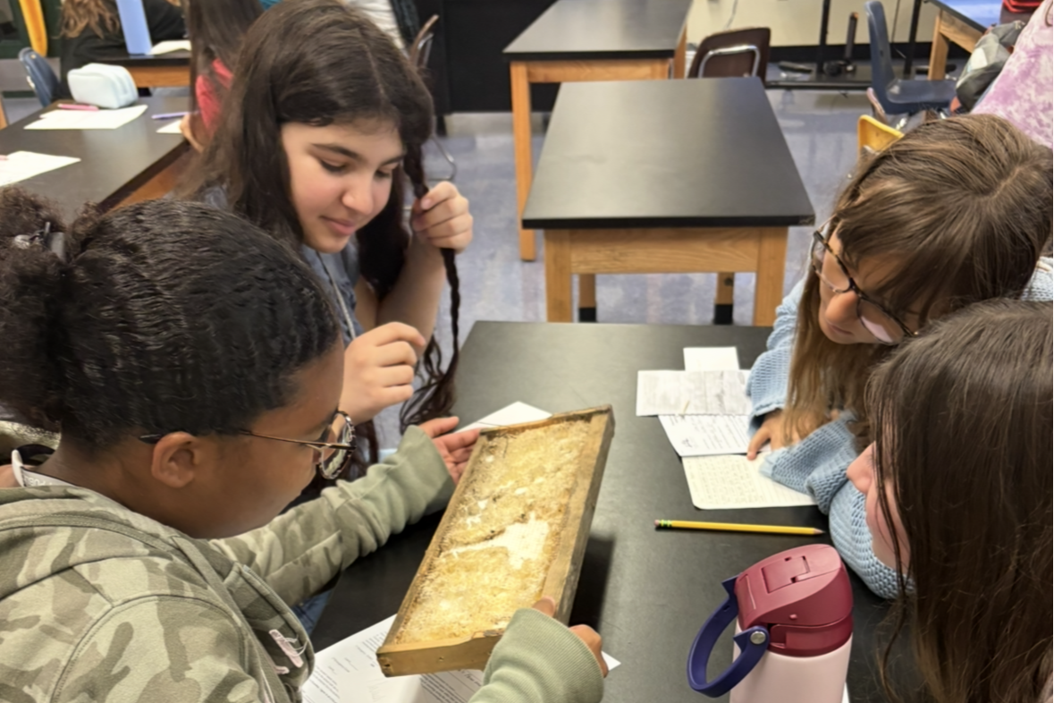 Several students examining a fossil at a table. A student wears glasses, holding a fossil. A pen, pencil case, and water bottle on table.