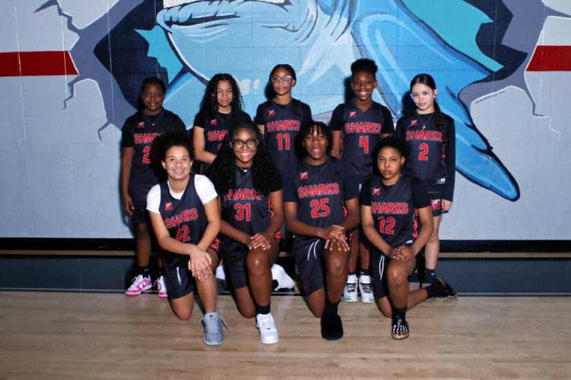 Basketball team with jerseys numbered 2, 12, 14, and 17 poses against a shark wall.