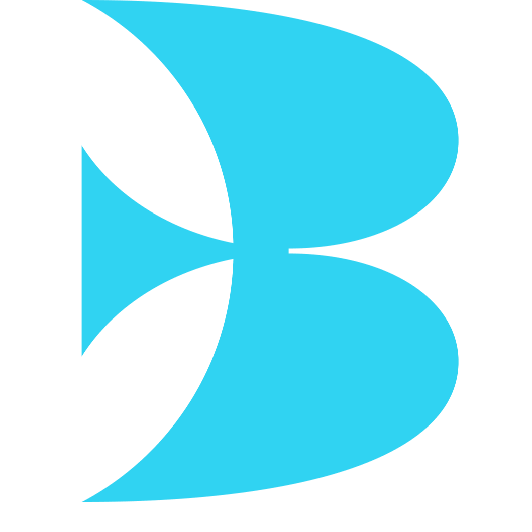 Blue logo with a stylized B, accompanied by the text "bluebird kids health" in bold, sans-serif font on a black background.
