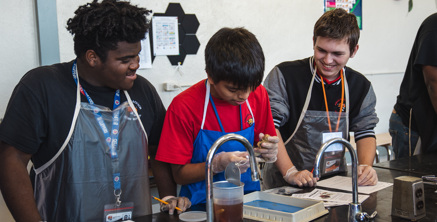 students dissecting a frog in science class