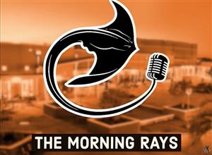 the morning rays logo