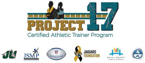 Project 17 logo