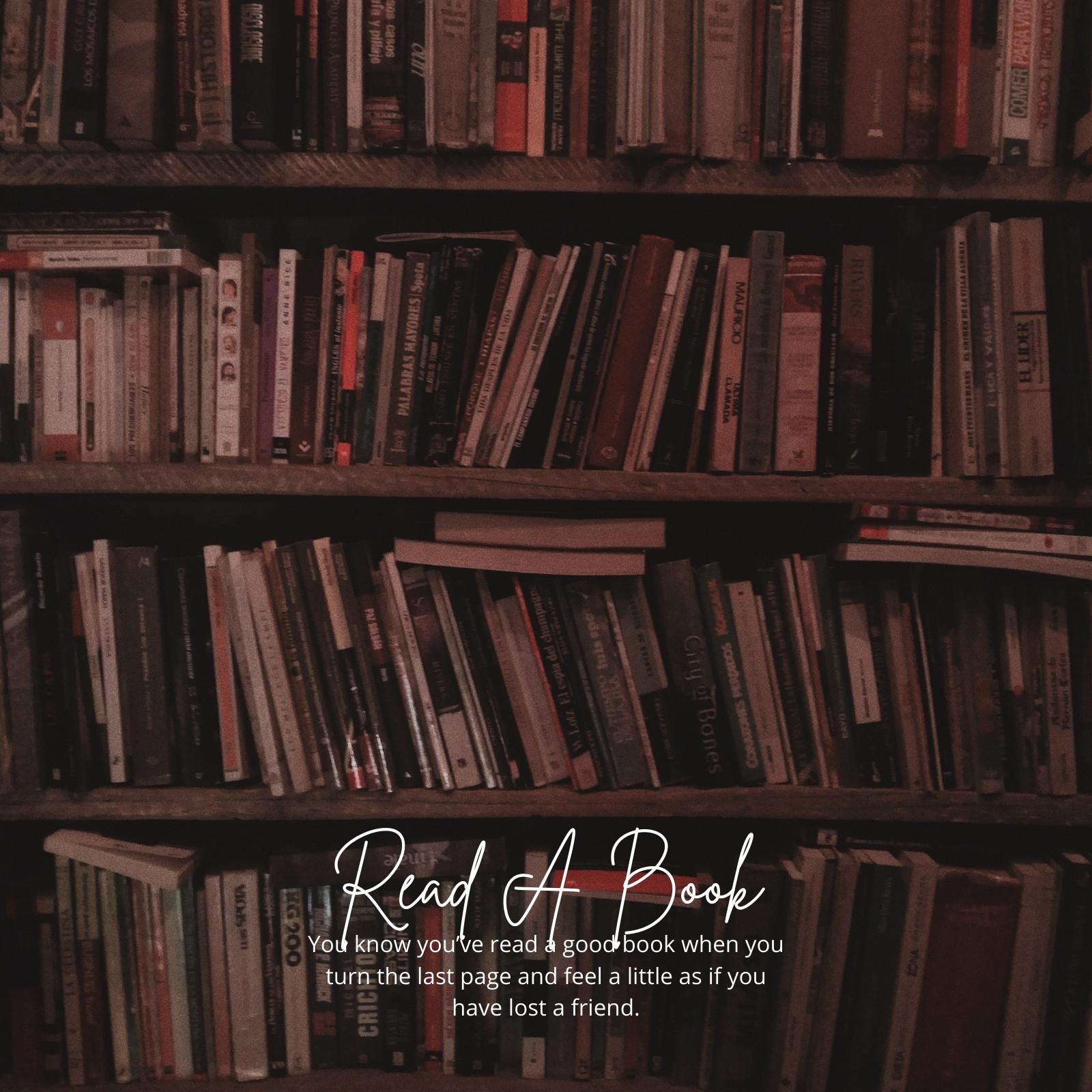 Bookshelf filled with various books, illuminated dimly. A quote reads, "You know you've read a good book when you..."