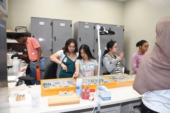 Five individuals examine a display on a table in a room with gray cabinets and a white ceiling.