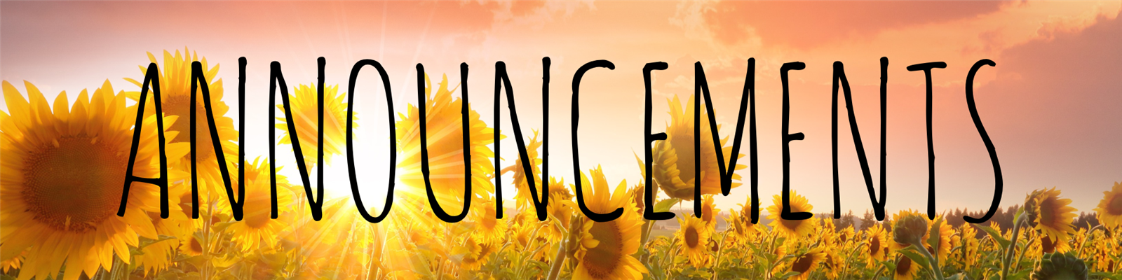Announcements banner