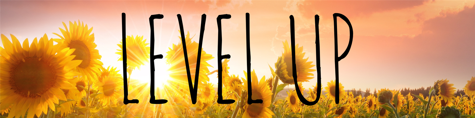 Level Up banner