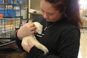 Woman holding a puppy