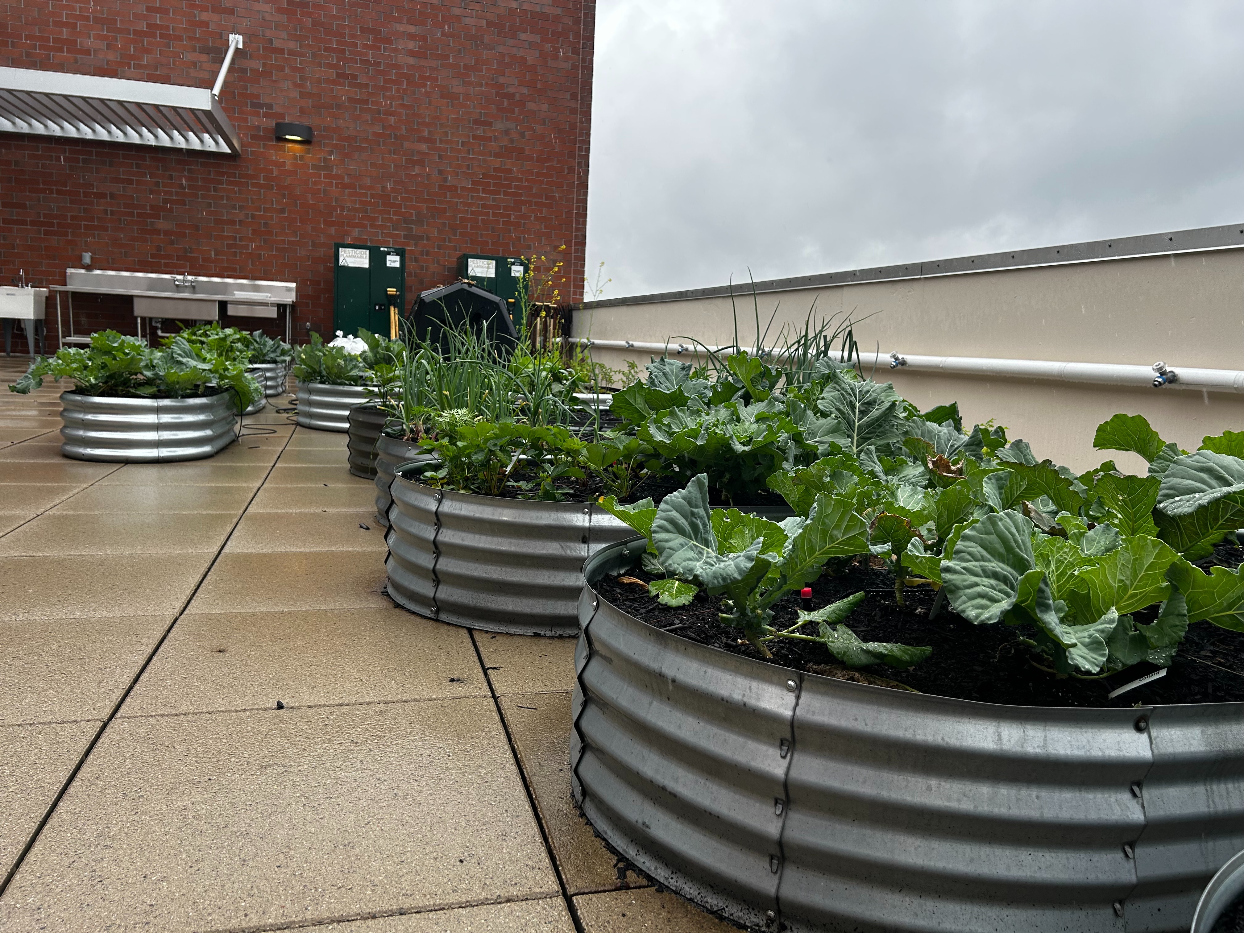 Rooftop Garden