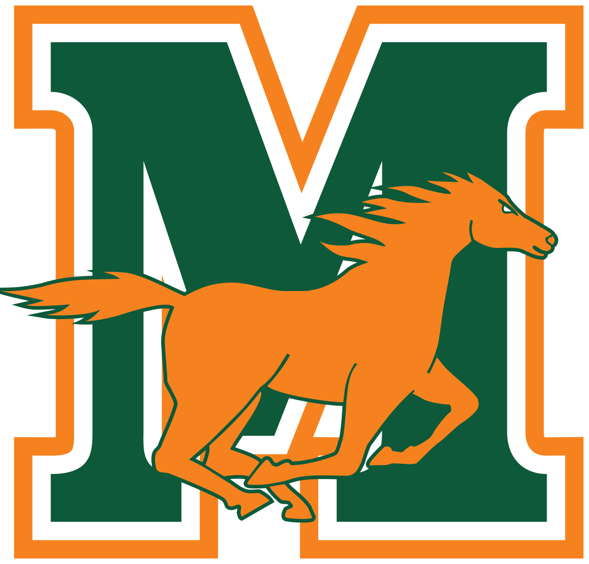 Bluebook Download Instructions Mandarin High School