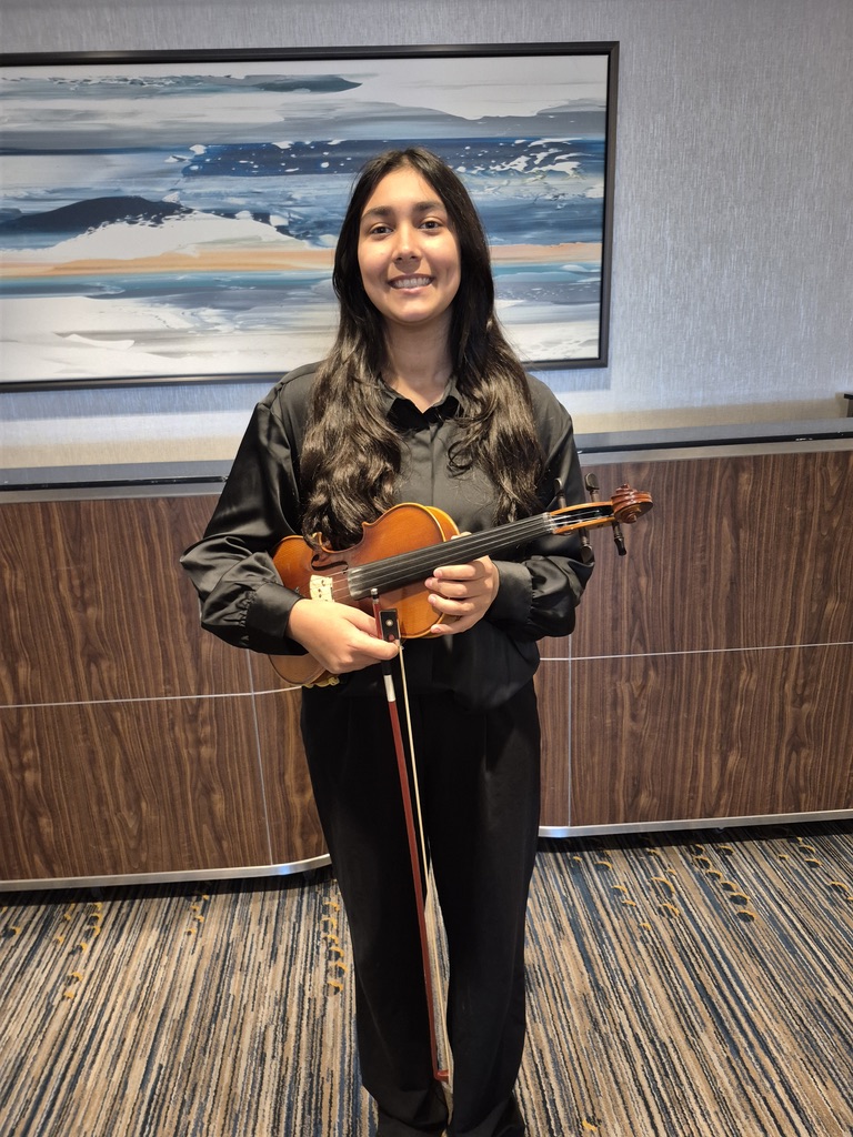 Person in black holding a violin, standing in a room with wooden paneling and a large painting.