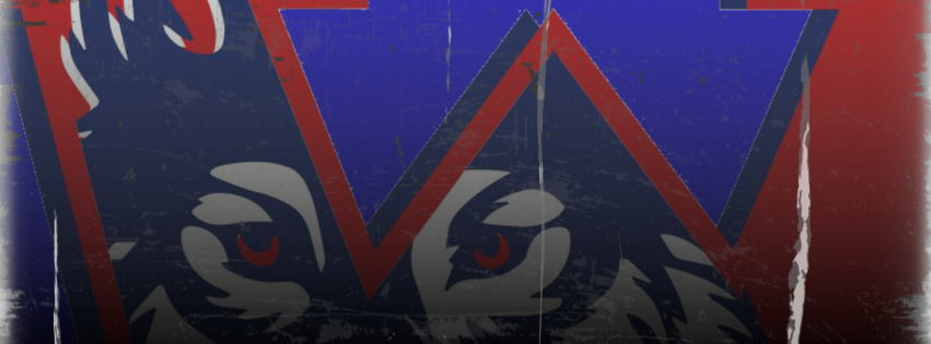 Abstract art with two wolf heads, red and blue triangles, and a geometric design. Background is blurred.