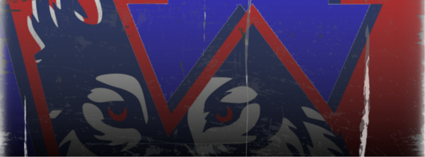 Wolf heads, red and blue triangles, black outline, white eyes, red pupils, and dark background.