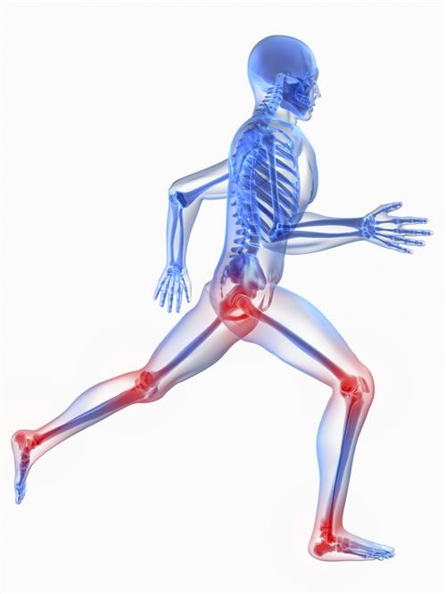 xray image of body running