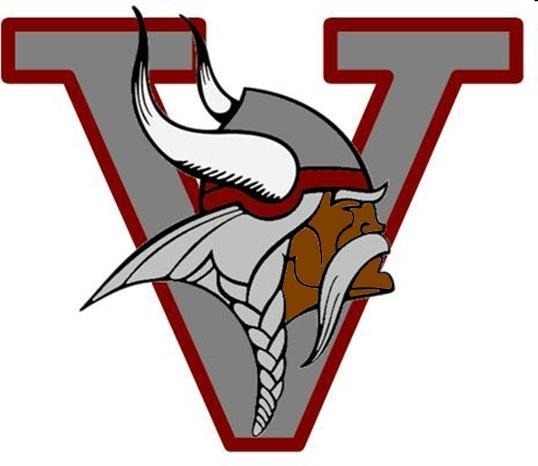 A logo features a stylized Viking head with horns, a braided beard, and a helmet. The head is set within a 'V' shape.