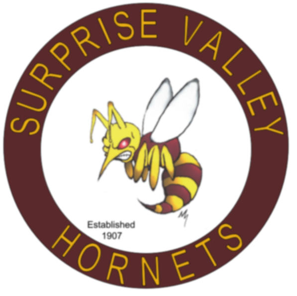 surprise valley logo