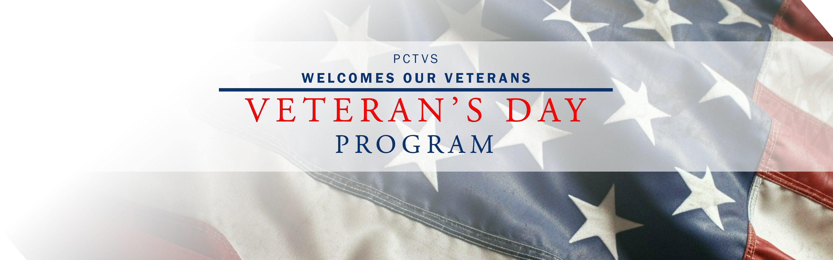 Veterans Day Banner