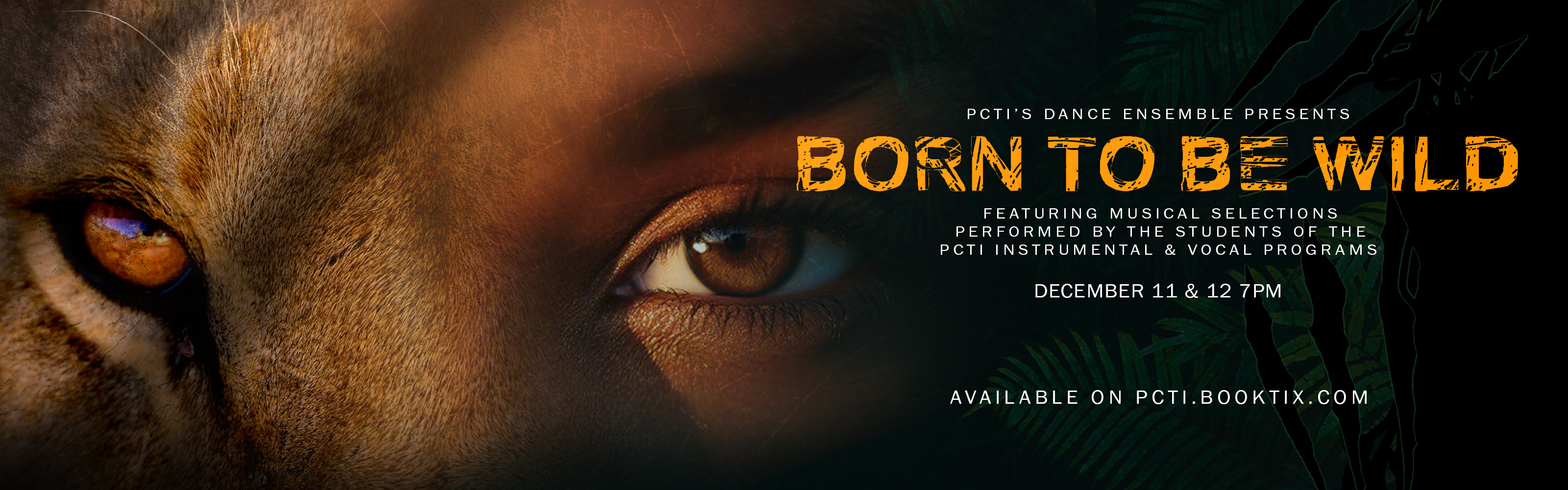Born to be wild Banner 2