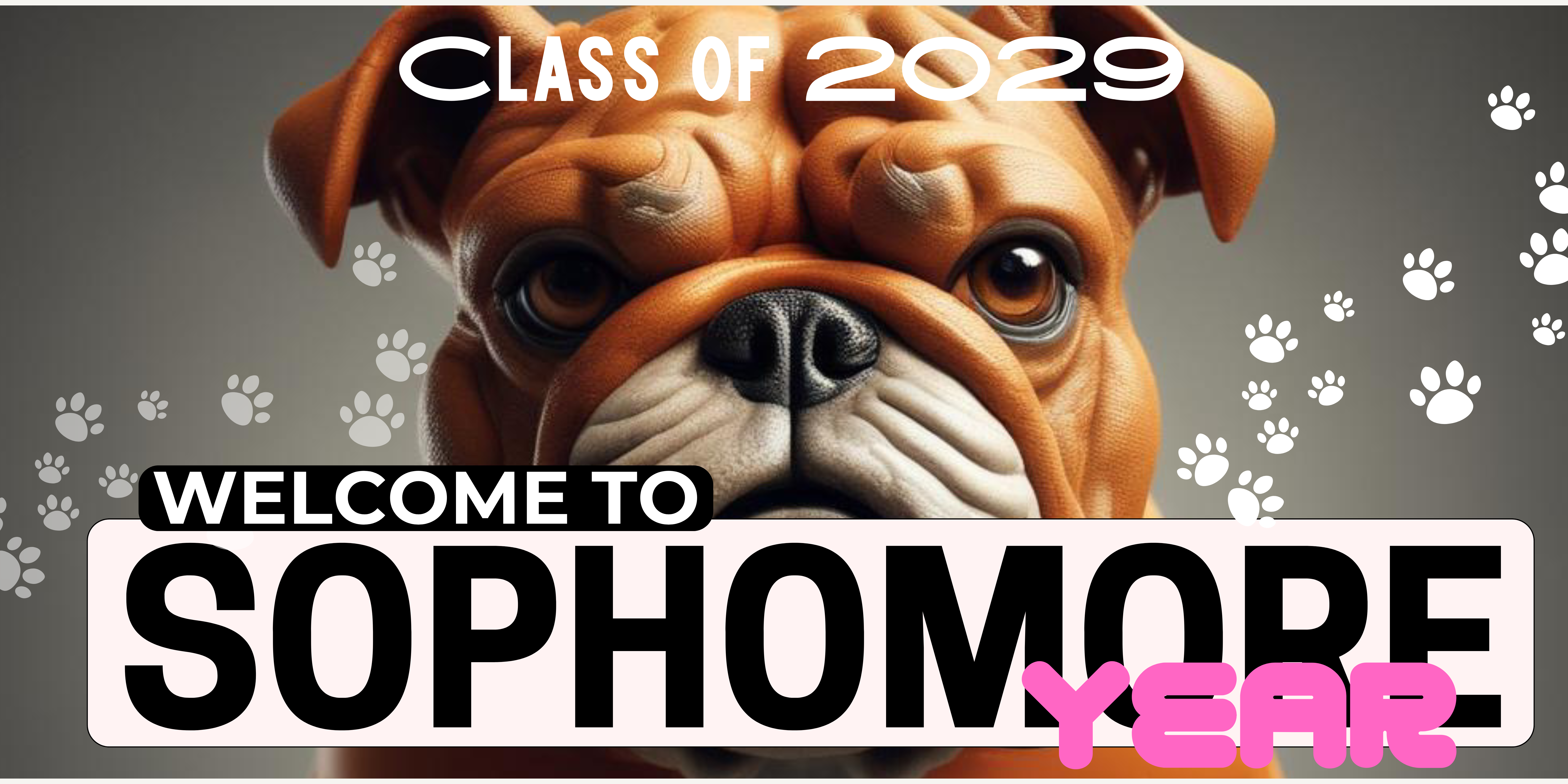 2029