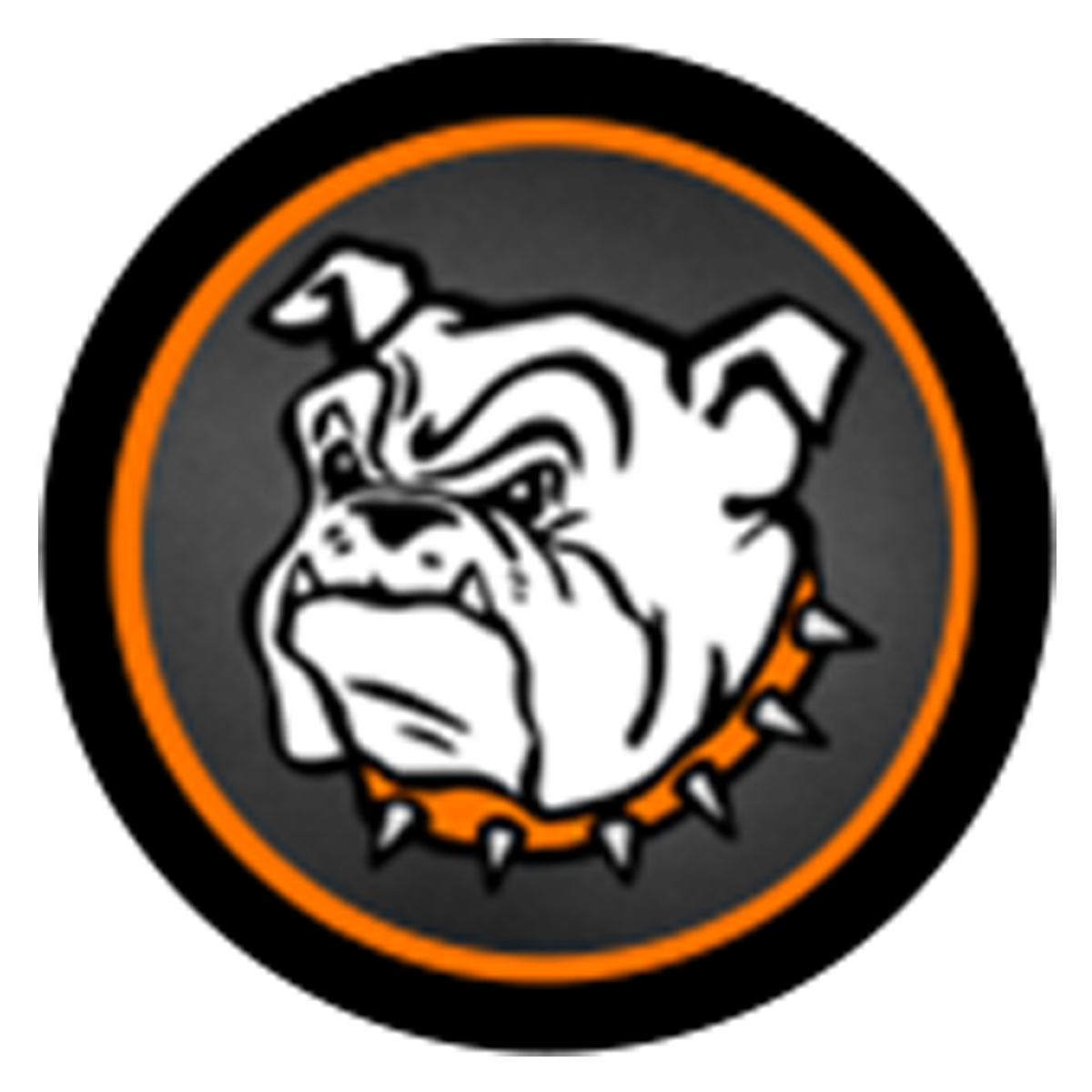Activities Artesia High School