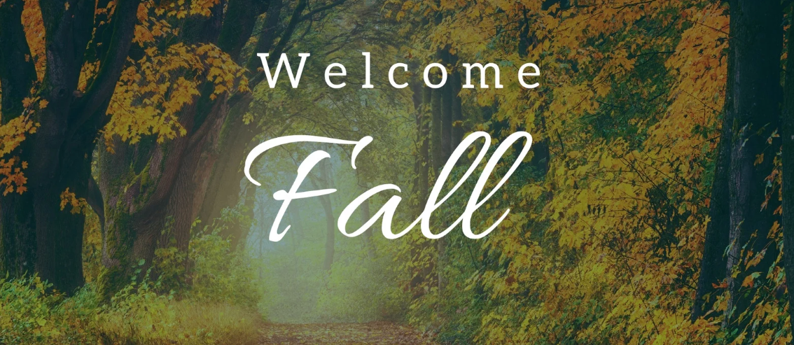 Hello August