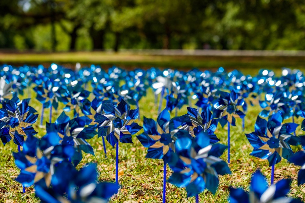 Blue pin-wheels
