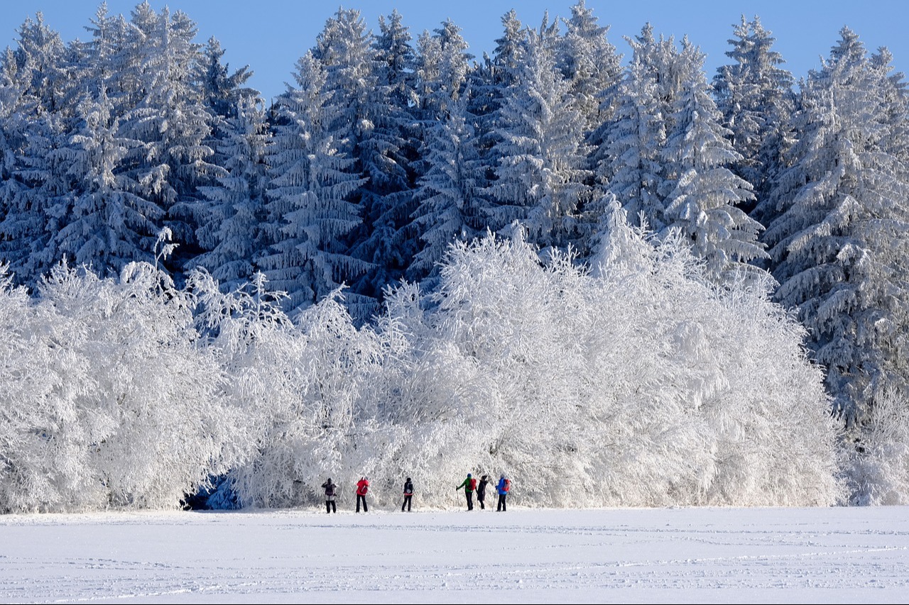 winter snow and trees with people standing on snow