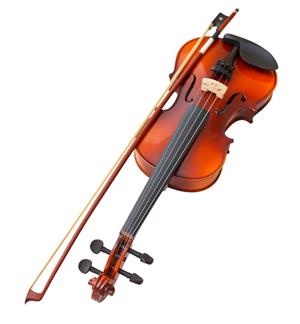 Violin