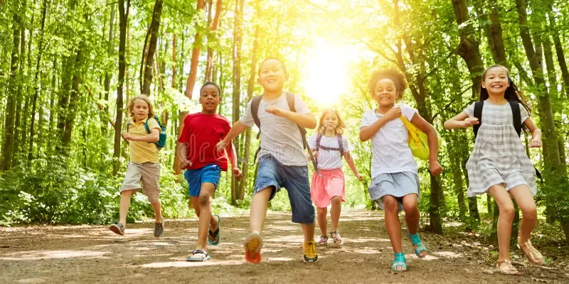children walking in the woods with bags