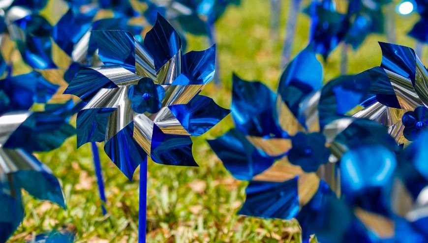   Blue pinwheels in grass