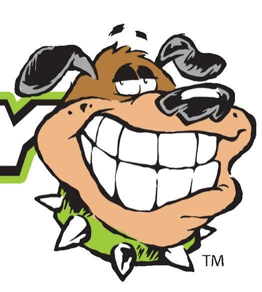groggy dog